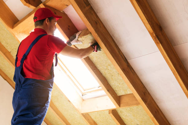 Types of Insulation We Offer in Anton, TX